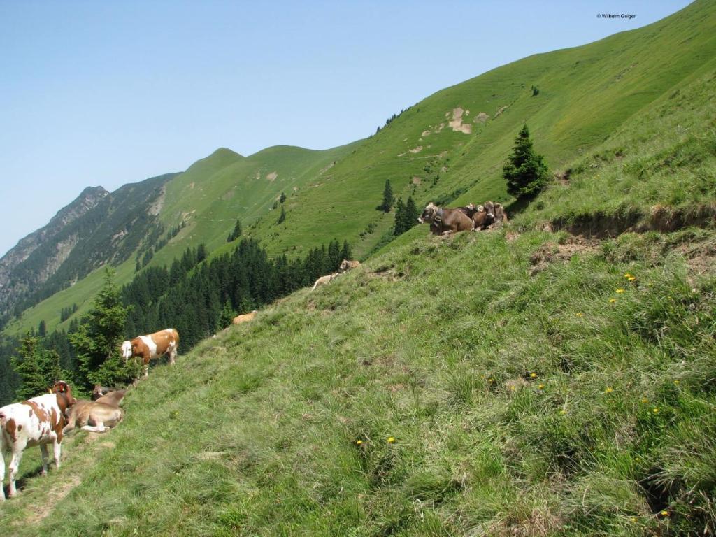 Mountain Hostel Oberstdorf Exteriör bild